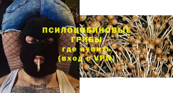 соль курить ск Алексеевка