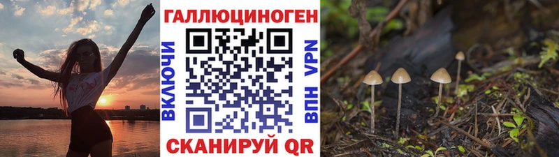 кракен как войти  Пыталово  Галлюциногенные грибы Psilocybe  наркошоп 