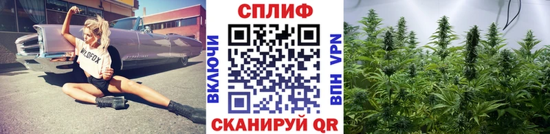 Канабис марихуана  Пыталово 